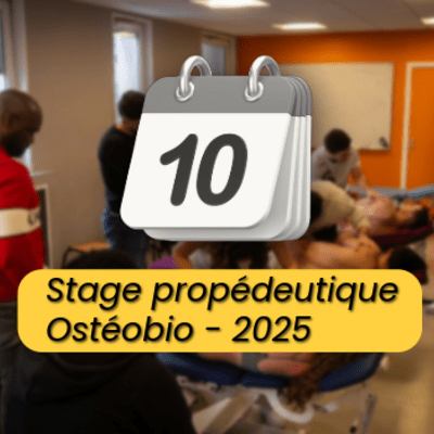 Etudiant Ostéobio qui sont dans la salle de pratique