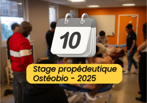 Etudiant Ostéobio qui sont dans la salle de pratique
